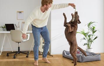 REVÊTEMENT DE SOL EN LIÈGE - EN POSE FLOTTANTE SANS COLLE